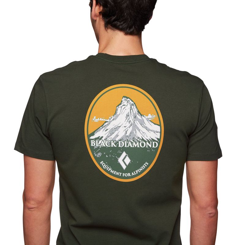 Black Diamond BD Mountain Badge SS Top Uomo Grigie Verdi | ZNR147062